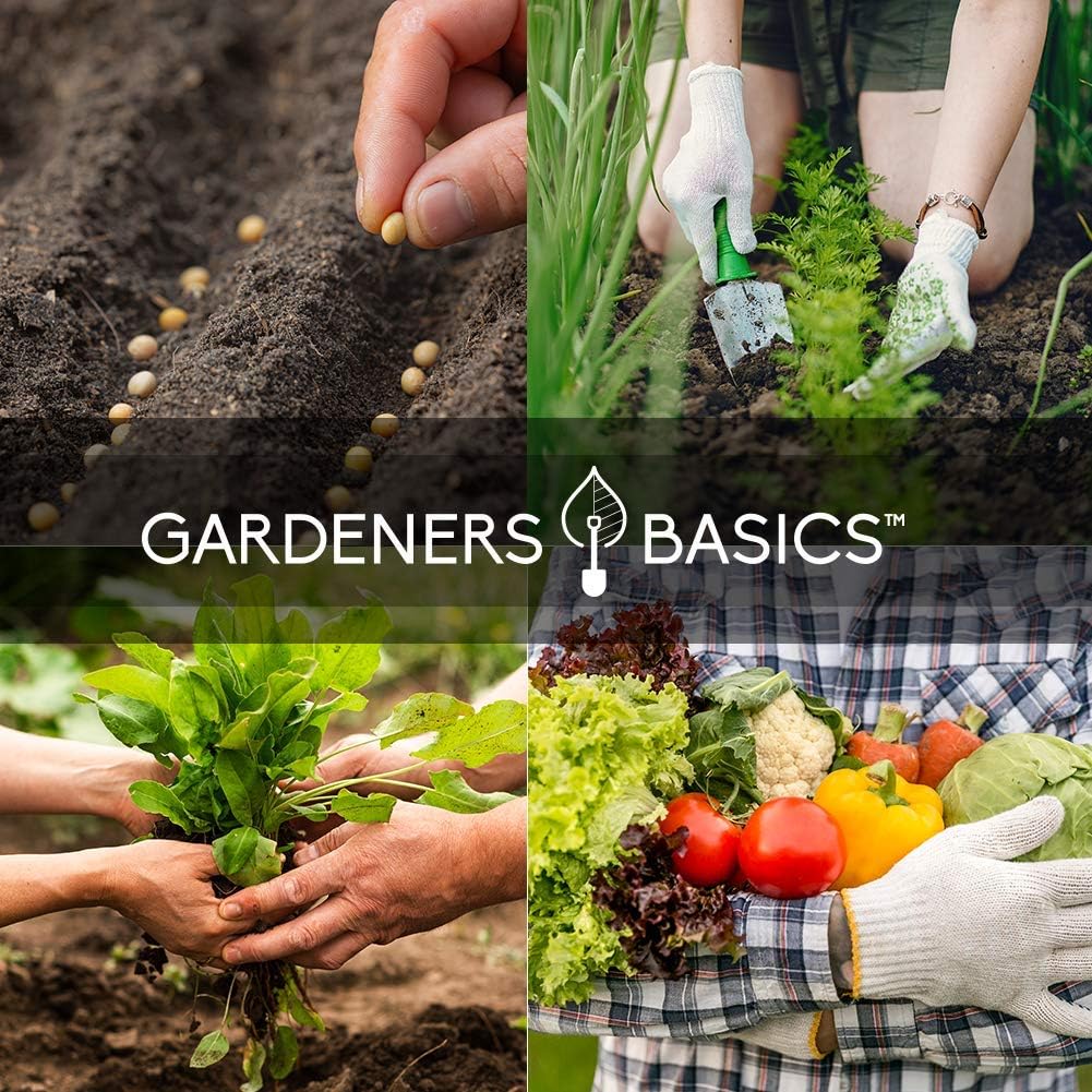 Kit de jardín de semillas de verduras de supervivencia, más de 16,000 semillas sin OMG y criollas, ideal para equipo de supervivencia de emergencia, 35 variedades de semillas para plantar verduras, 35 marcadores de plantas gratuitos, básicos para jardiner